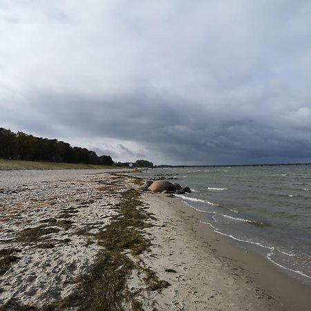 Ferienwohnungen "Weitblick" Und "Schwalbennest" Lodmannshagen Kamer foto