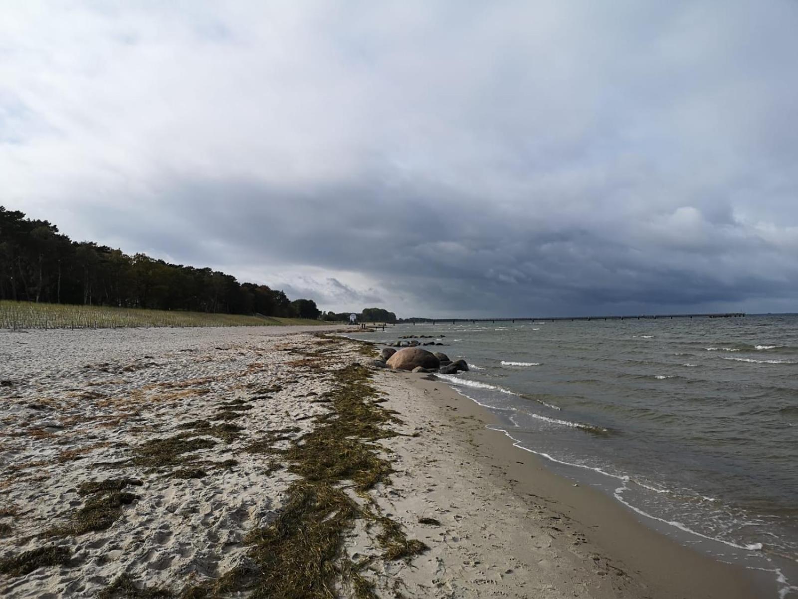 Ferienwohnungen "Weitblick" Und "Schwalbennest" Lodmannshagen Kamer foto