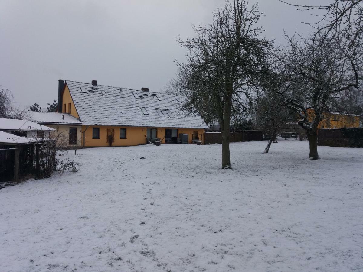 Ferienwohnungen "Weitblick" Und "Schwalbennest" Lodmannshagen Buitenkant foto