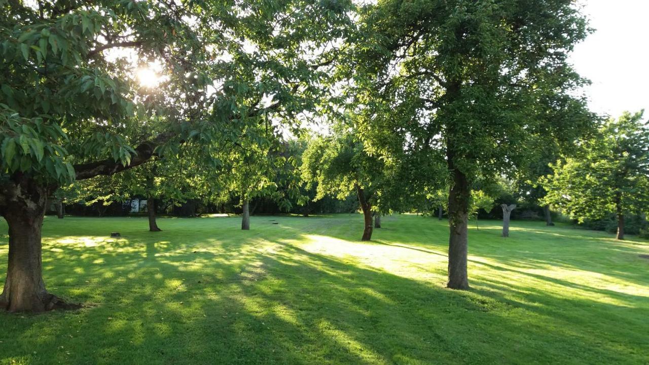 Ferienwohnungen "Weitblick" Und "Schwalbennest" Lodmannshagen Buitenkant foto