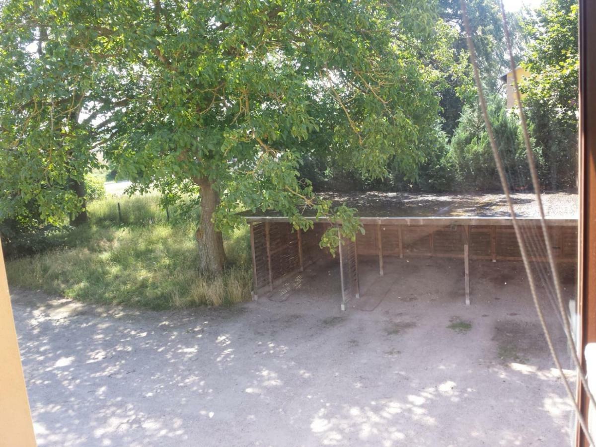 Ferienwohnungen "Weitblick" Und "Schwalbennest" Lodmannshagen Buitenkant foto