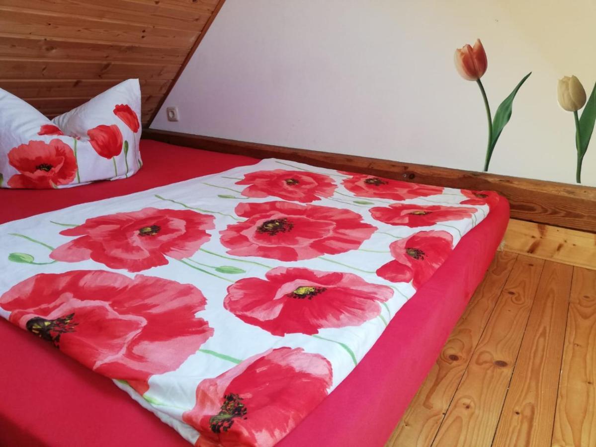 Ferienwohnungen "Weitblick" Und "Schwalbennest" Lodmannshagen Buitenkant foto
